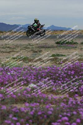 media/Jan-14-2023-SoCal Trackdays (Sat) [[497694156f]]/Turn 14 Exit Bloomig (145pm)/